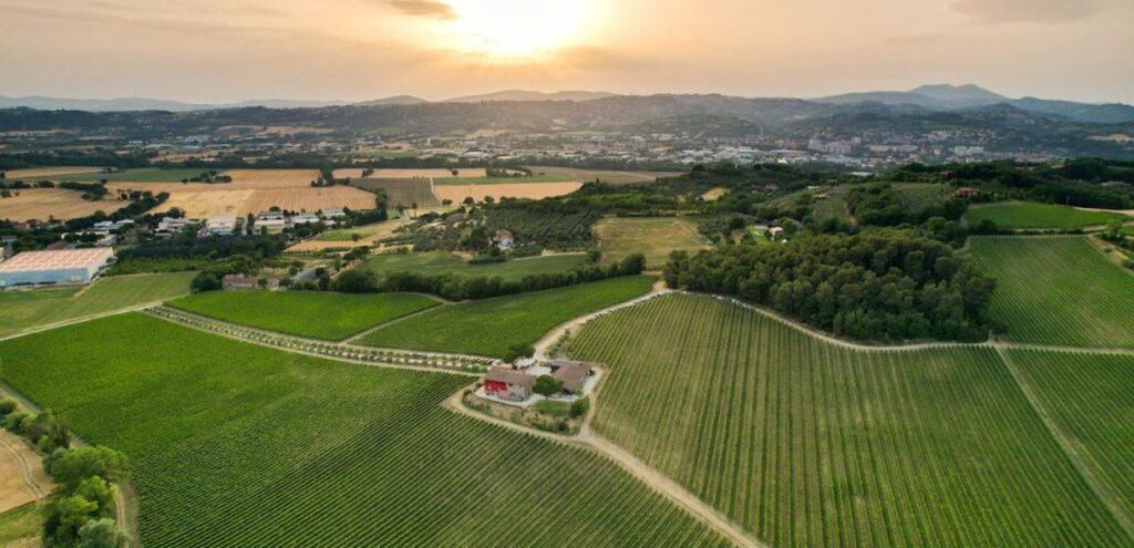 Torgiano (Pg), Terre Margaritelli ed Unipg insieme per un vino ‘low alcol’, drone terre margaritelli