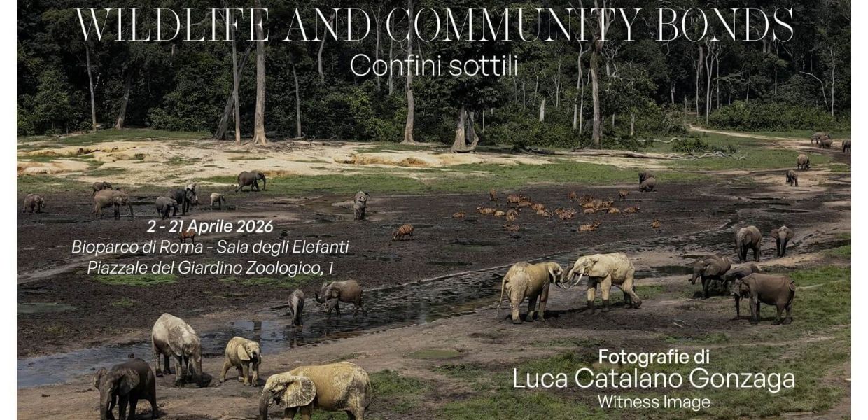 Natura, al Bioparco di Roma la mostra "Confini sottili"