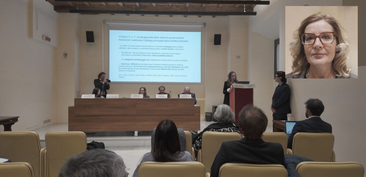 Lupo meno protetto, il convegno al Senato