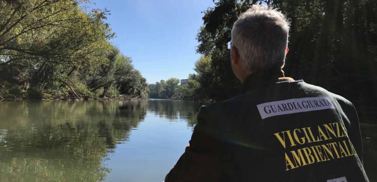 "Stop Crimini di Natura", la petizione del WWF Italia. Ecco dove firmare