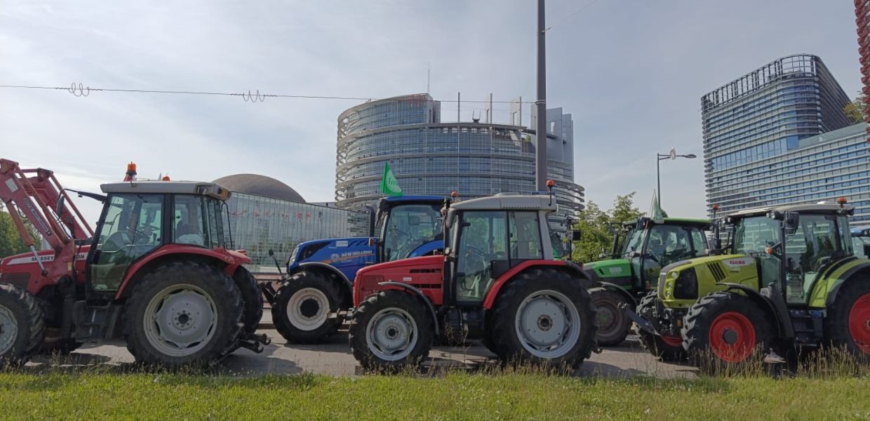 A Strasburgo la protesta degli agricoltori, Giansanti (Confagricoltura) Non c'è più tempo