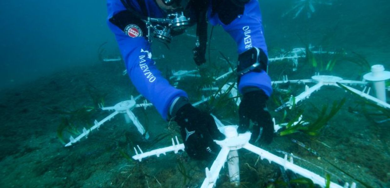 Il progetto “3 R per il Mare” di Marevivo a tutela del Golfo di Palermo