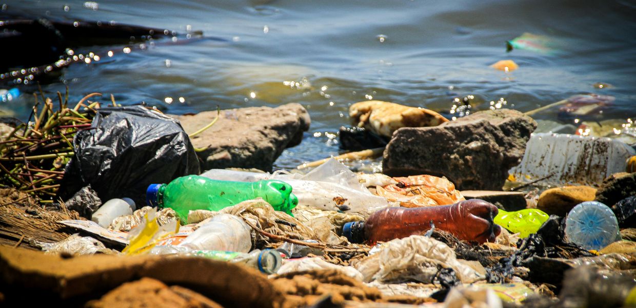 Inquinamento da plastica, la causa principale sono i rifiuti alimentari. Lo studio