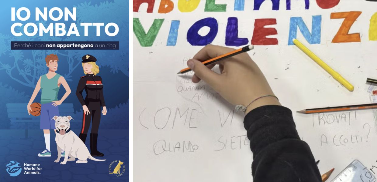 Humane World for Animals Italia e Fondazione Cave Canem hanno organizzato una sessione di formazione presso l’Istituto “Zaveria Cassia” a Roma con una psicologa specializzata nell’età evolutiva, per educare gli studenti al rispetto degli animali.