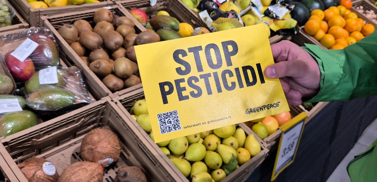 “Stop pesticidi”, “Il pesticida è servito”, questi alcuni dei messaggi diffusi tra i banchi dei supermercati dai volontari di Greenpeace Italia. 