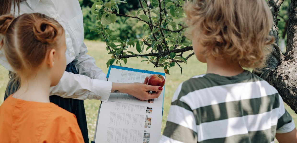 Programma “Frutta e verdura nelle scuole”, Confcooperative “Ottima notizia la pubblicazione tempestiva del bando”