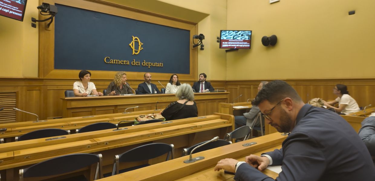Animali selvatici avvelenati: il convegno alla Camera dei deputati