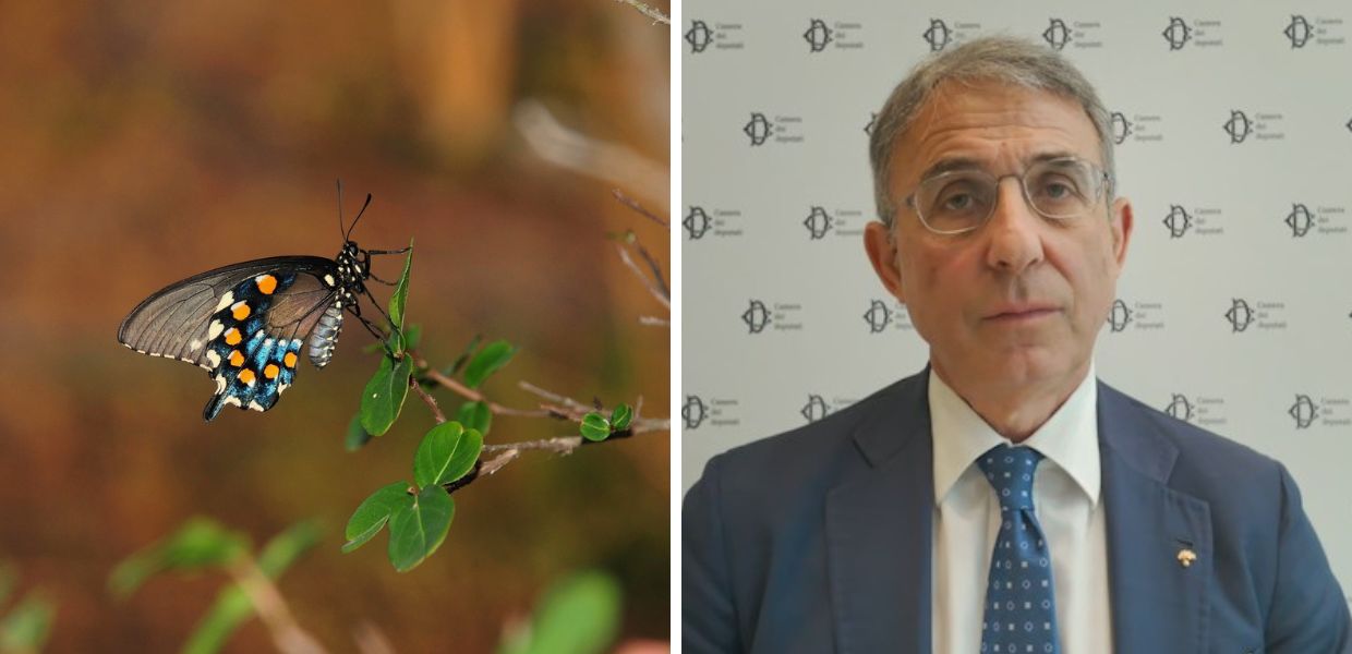 Giornata mondiale della biodiversità, Costa (M5S): "Ecco la proposta di legge sui parchi"