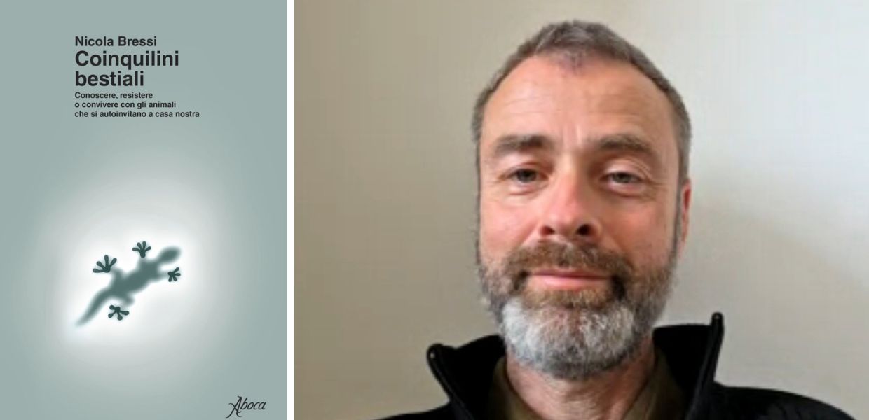 Acari, millepiedi e ragni: ecco il libro "Coinquilini bestiali" di Nicola Bressi