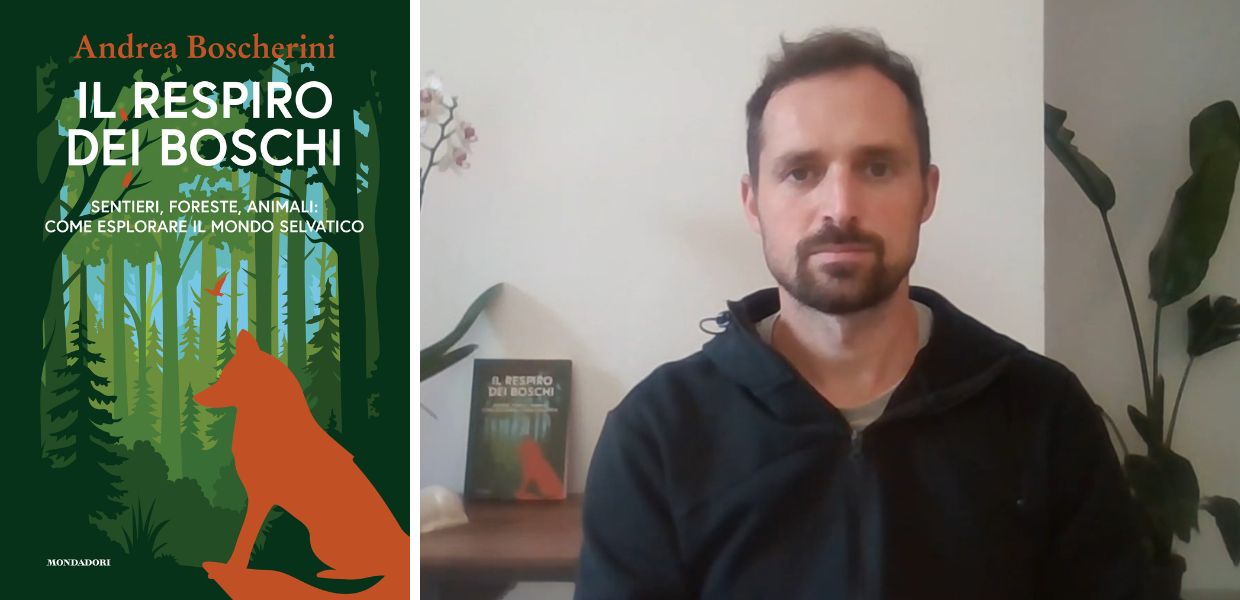 Libri, arriva "Il respiro dei boschi" di Andrea Boscherini