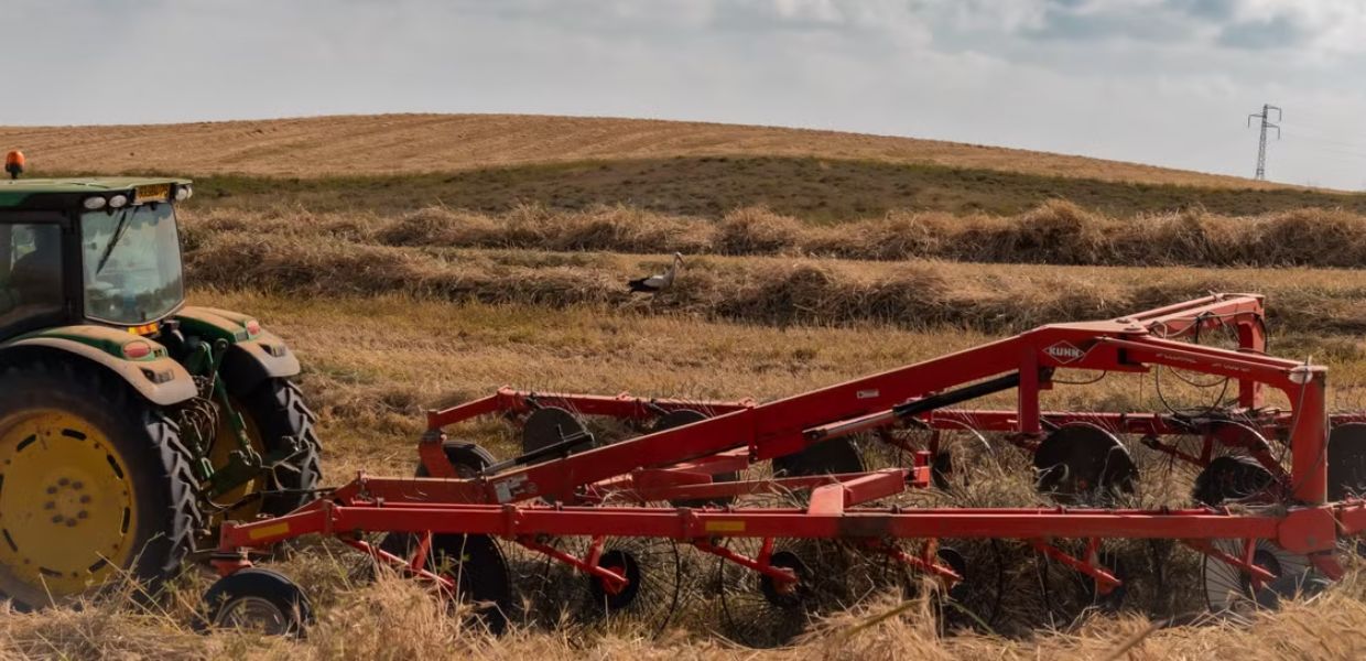 Agroalimentare, Lollobrigida “Con cabina di regia controlli più efficaci”