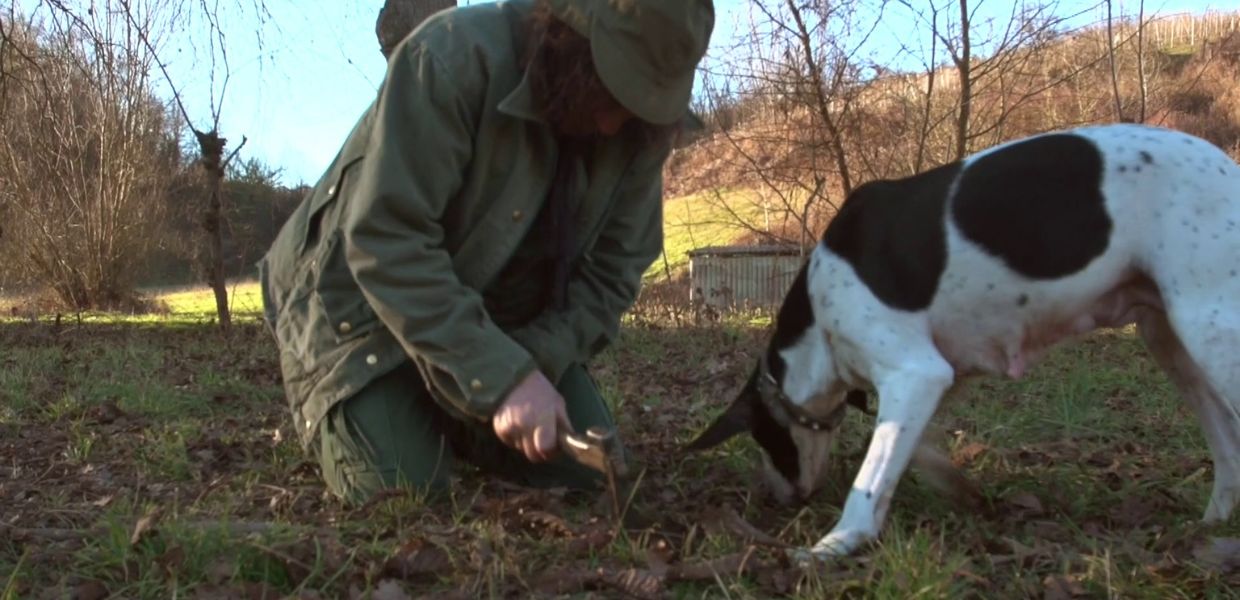 Il tartufo come indicatore di salubrità ambientale