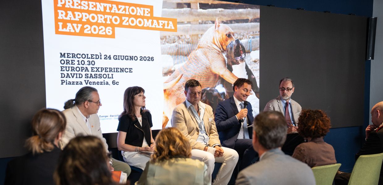 Reati contro gli animali in Italia: meno denunce ma più indagati