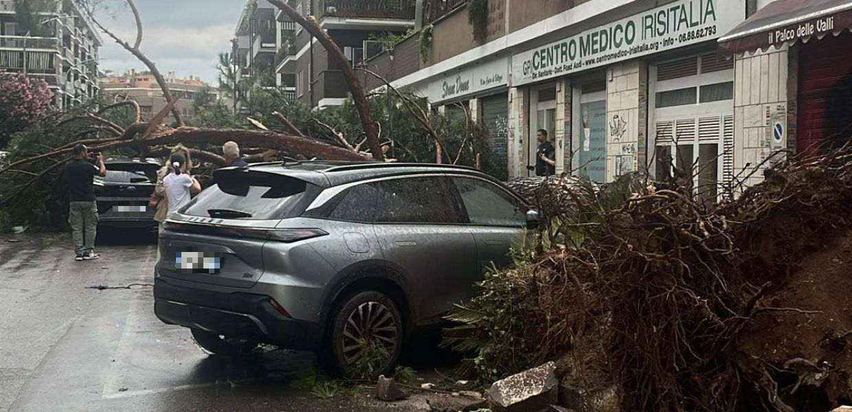 Roma, tromba d'aria abbatte alberi e devasta mercato | VIDEO