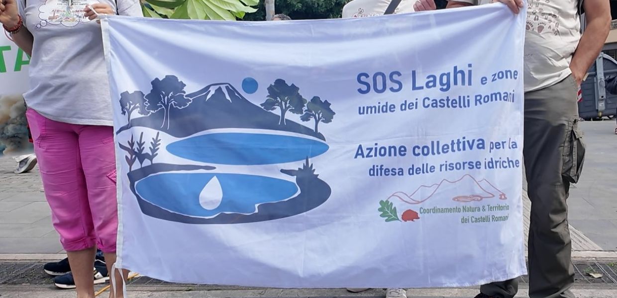 termovalorizzatore roma sos laghi
