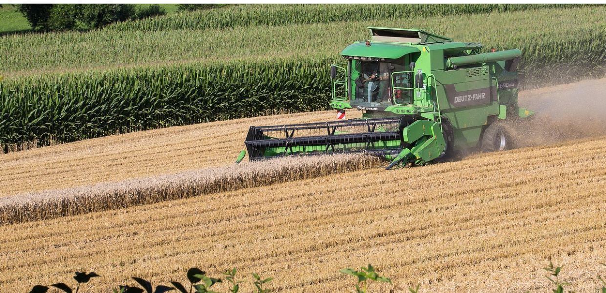 Agricoltura, 9 milioni di euro dalla Regione per l’inserimento dei giovani