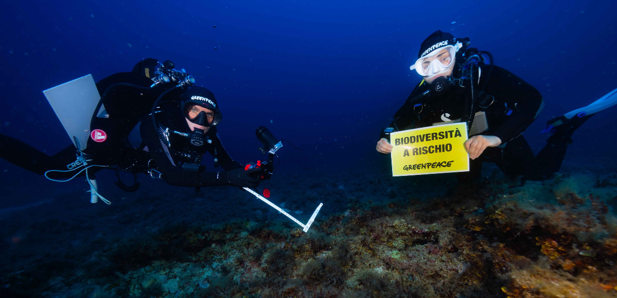 In occasione della Giornata del Mediterraneo arriva una nuova indagine di Greenpeace Italia: "Nella maggior parte dei SIC marini italiani mancano sia dei monitoraggi costanti sia una governance che garantisca una tutela effettiva".