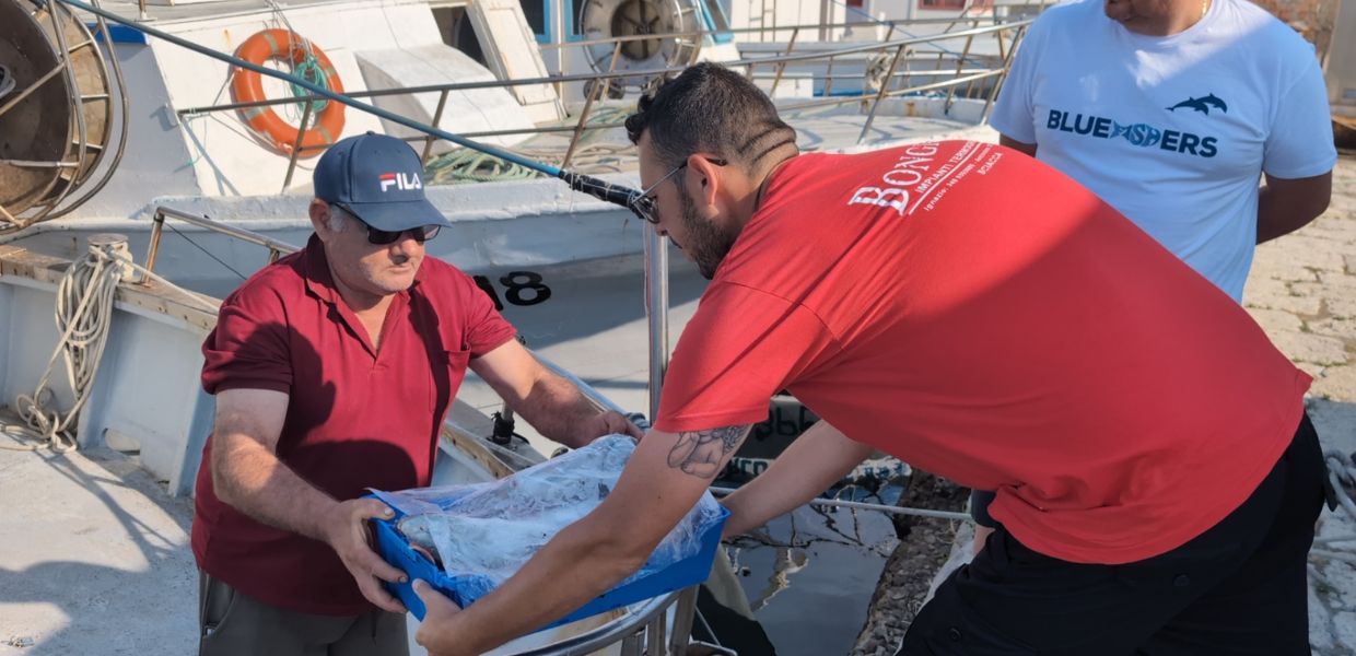 Il progetto di Marevivo approda a Sciacca, in Sicilia, per favorire l'impiego di cassette riutilizzabili
