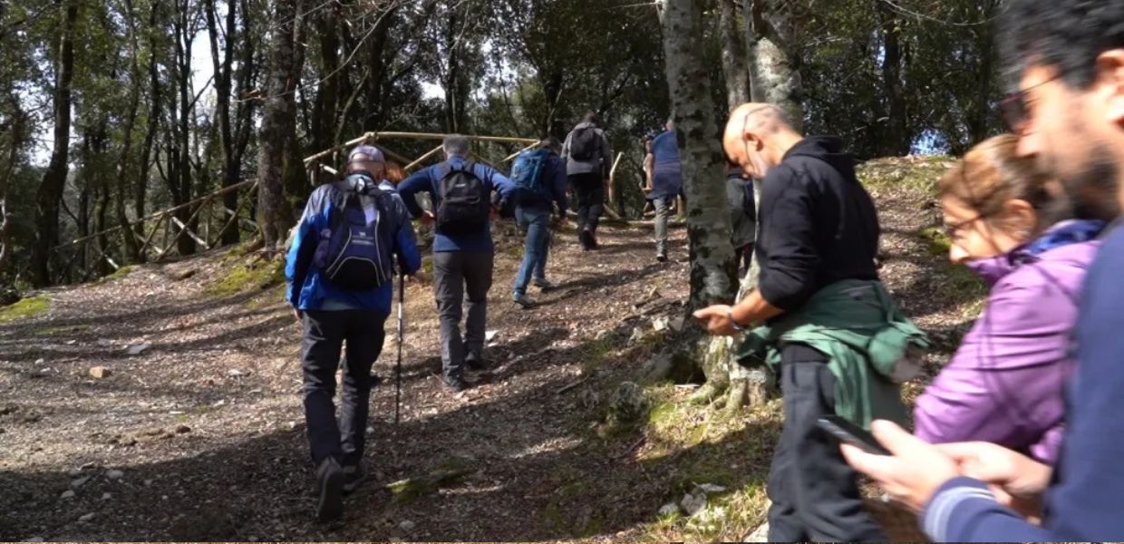 Trekking con San Francesco nelle Terre dell’Olio e del Sagrantino