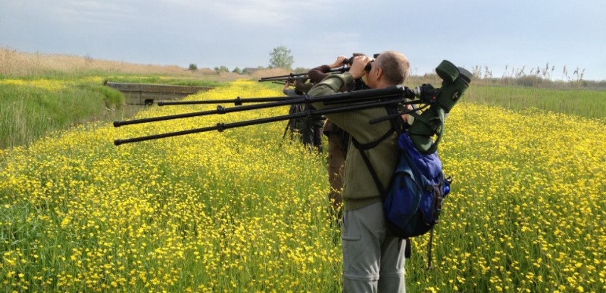 Comacchio, al via la prima scuola italiana di birdwatching con l'AI