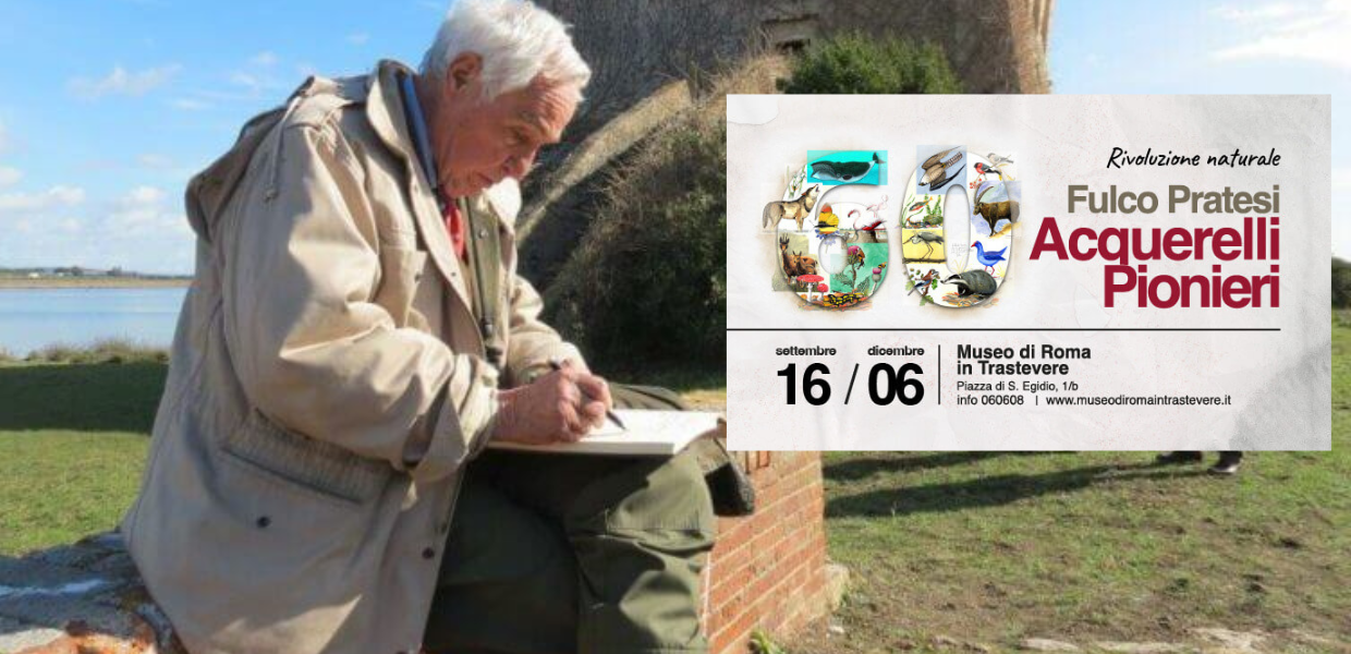 Una selezione di acquerelli, disegni, taccuini e materiali originali che rivelano al pubblico il lato più intimo e personale di Fulco Pratesi, fondatore del WWF Italia. A Roma la mostra "Fulco Pratesi. Acquerelli Pionieri".