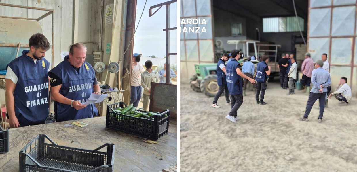 Home 25 agricoltura lavoro in nero guardia di finanza