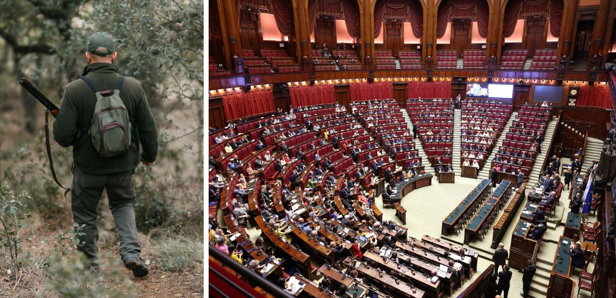 decreto pa caccia sergio costa