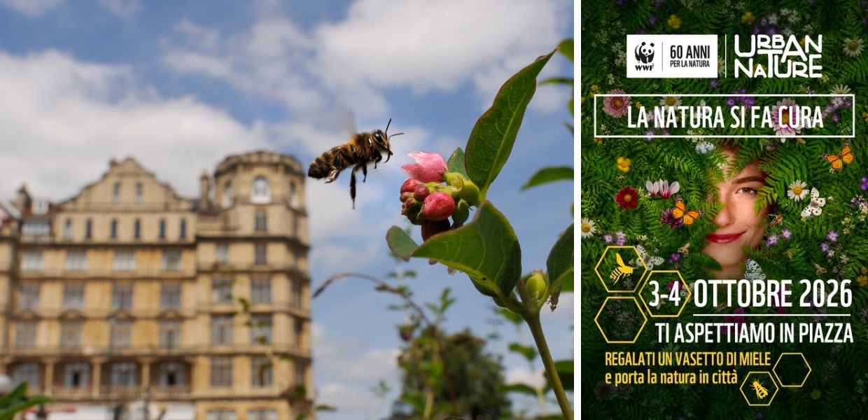 Torna "Urban Nature" del WWF Italia: ecco gli eventi a Roma