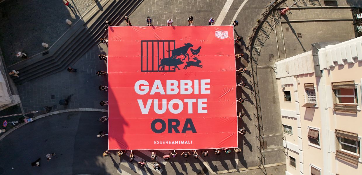 Stop agli animali allevati in gabbia, manifestazione a Roma